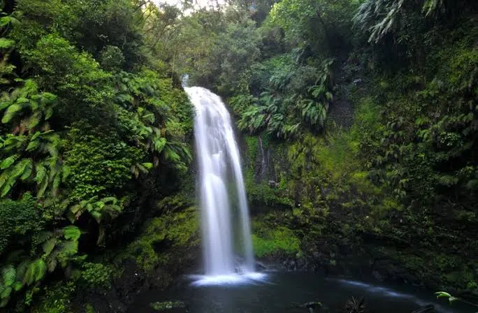 Montagne d’Ambre National Park
