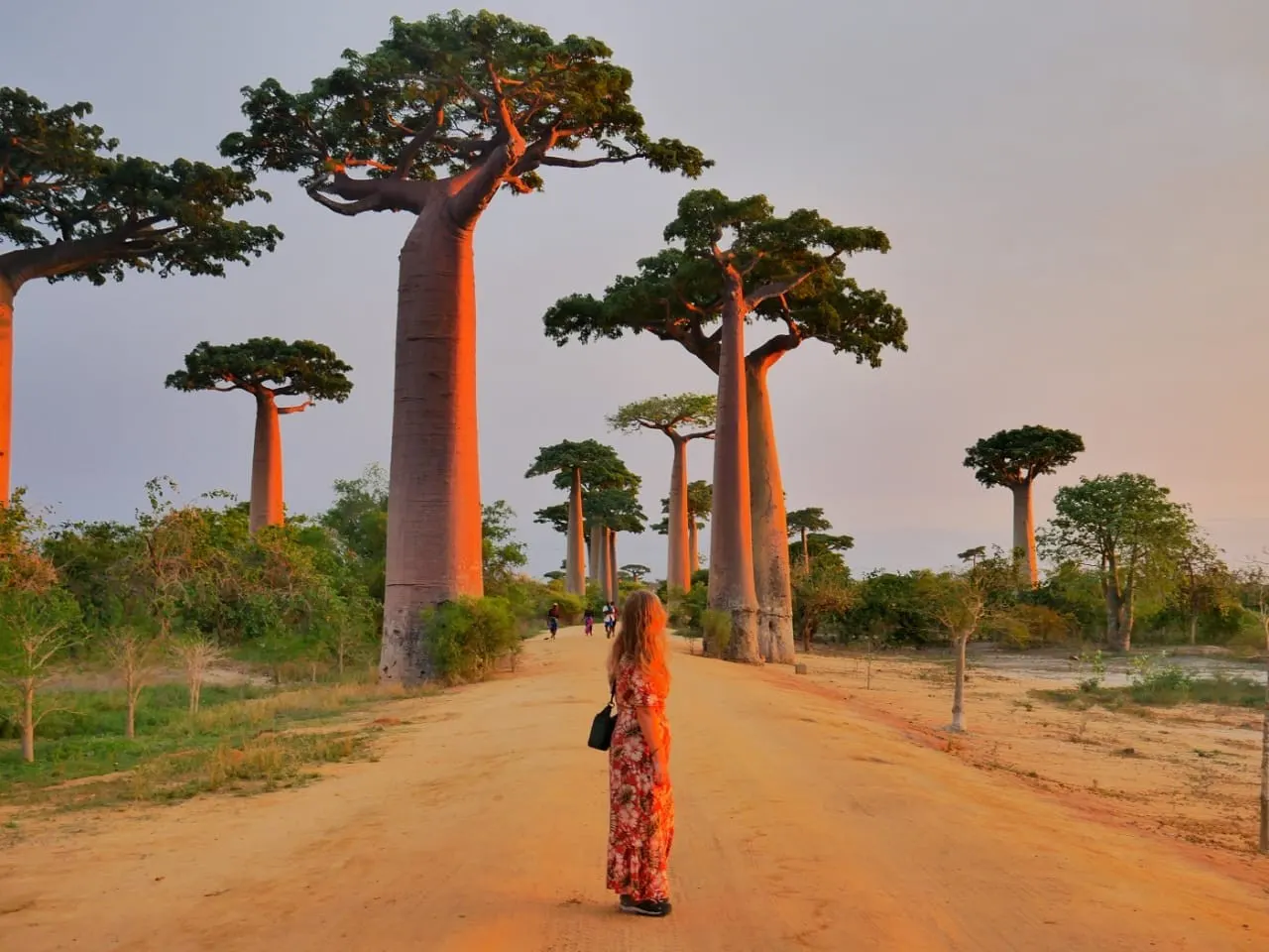 Madagascar Classic Adventure with Island Escape
