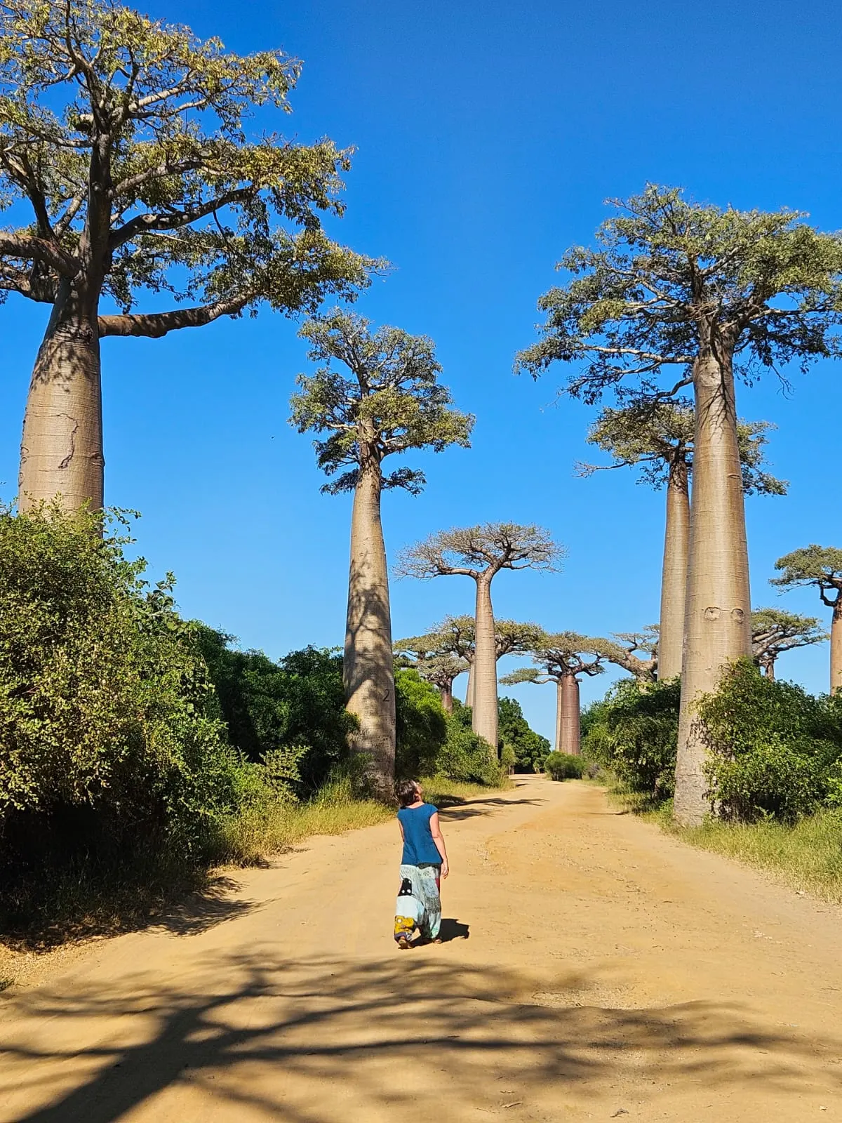 Grand Madagascar Loop Expedition