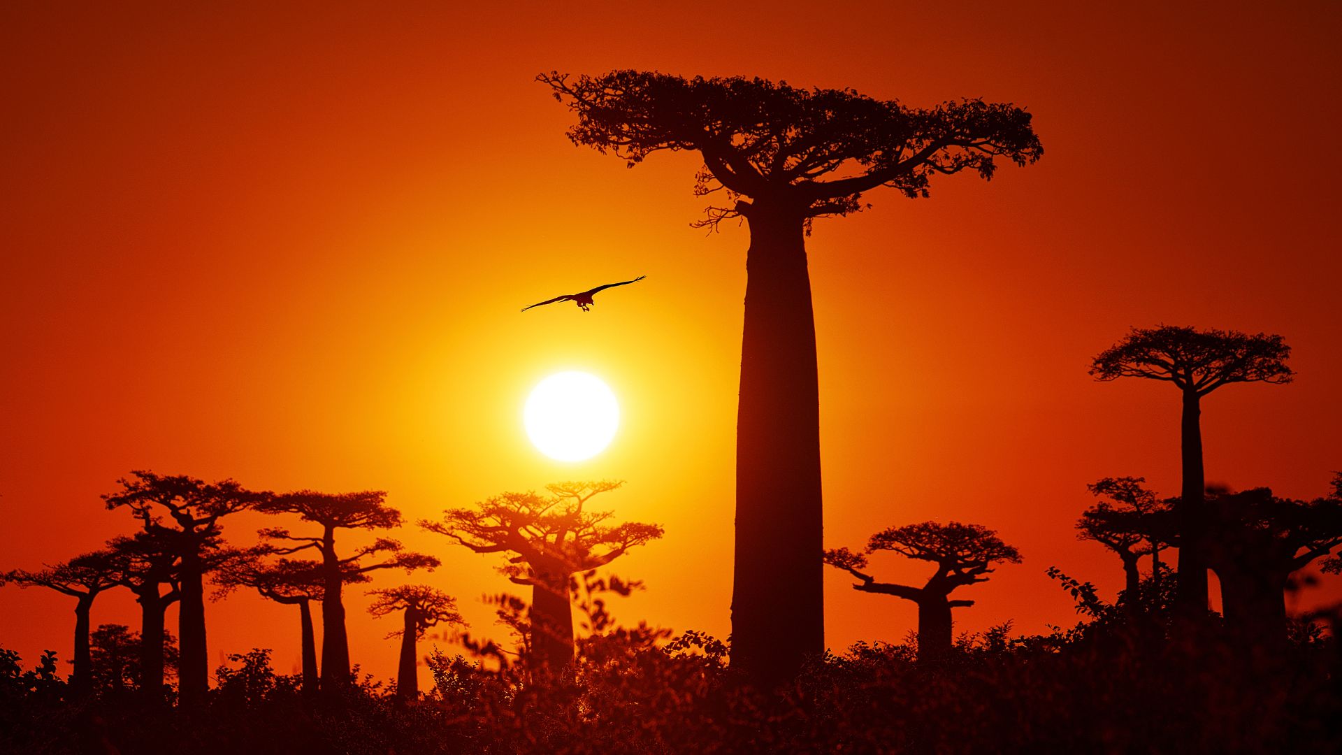 Madagascar tour packages