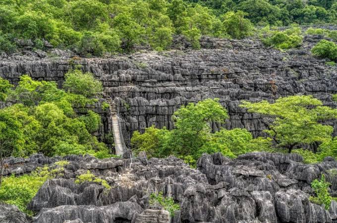 Ankarana National Park